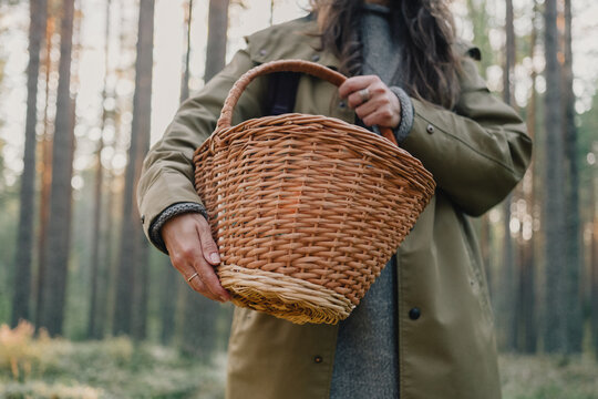 Close-up of woman holding an empty wicker basket in a pine forest, suggesting mushroom and berry picking, seasonal foraging, wild harvest and peaceful outdoor lifestyle.