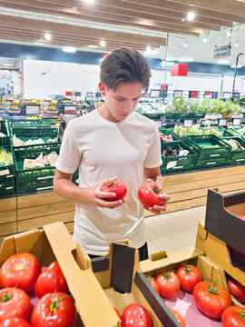 Young Shopper Comparing Red Tomatoes in Supermarket Produce Section