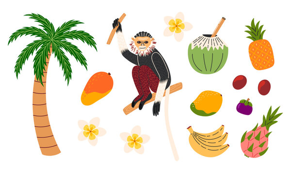 Tropical wildlife and fruit set with monkey, palm tree, mango, coconut, pineapple and dragon fruit. Flat vector illustration