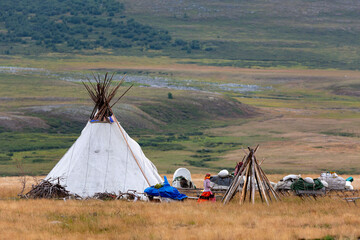 Nenets reindeer herders choom on a summer. Russia, Yamal © Shchipkova Elena