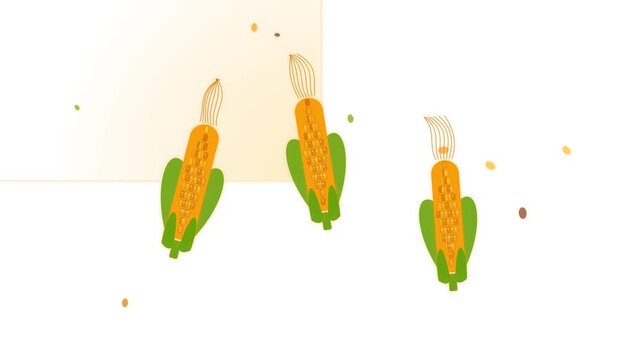 Abstract motion graphic of animated corn kernels falling with subtle background effects
