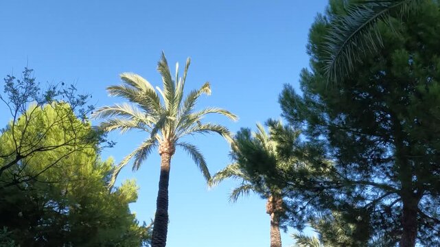 Jardines Universidad Miguel Hern&aacute;ndez elche Alicante espa&ntilde;a