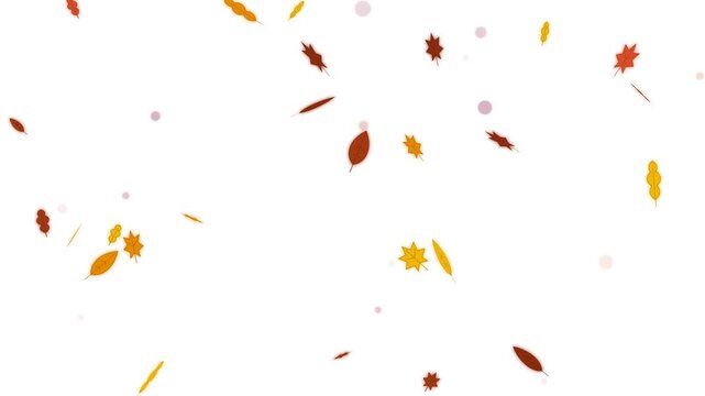 Falling autumn leaves motion graphic with clean background and copy space for text overlay during seasonal promotions