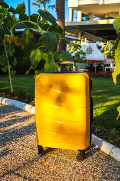 Yellow suitcase on a tropical garden path surrounded lush green vegetation and exotic plants, travel and vacation concept in paradise setting.