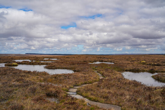 Forsinard Flows, a national nature reserve in the Scottish highlands. Forsinard Flows is part of the Flow Country, which is a large, rolling expanse of peatland and wetland in Caithness