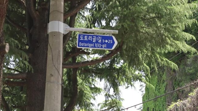 야외 나무 배경에 설치된 '도토리골1길' 도로명 주소판을 촬영한 뷰