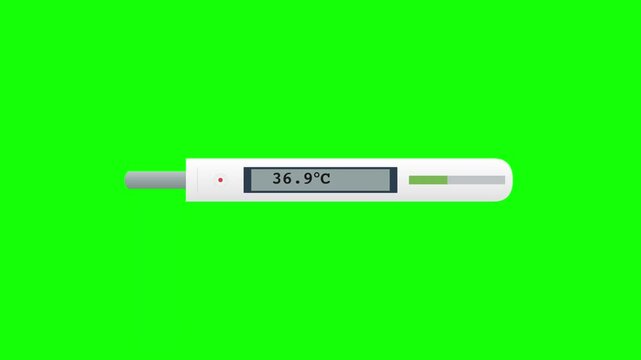 Digital Medical Thermometer Animation Measuring Fever Temperature Rising On Green Screen Chroma Key