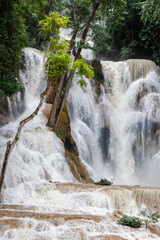 Kuang Si Waterfall cascades over tiered limestone rocks through a lush jungle forest in Luang Prabang, Laos, creating misty flowing white water. © Eugene Ga