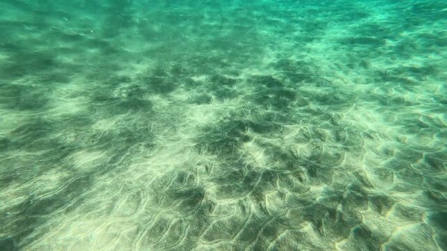 Serene underwater view of a sandy seabed with mesmerizing caustic light patterns created by sunlight filtering through the turquoise water, creating a peaceful and hypnotic aquatic background