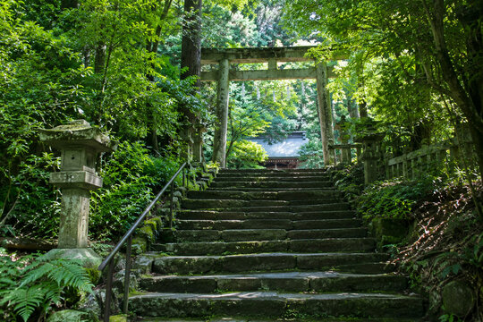 stairway to heaven