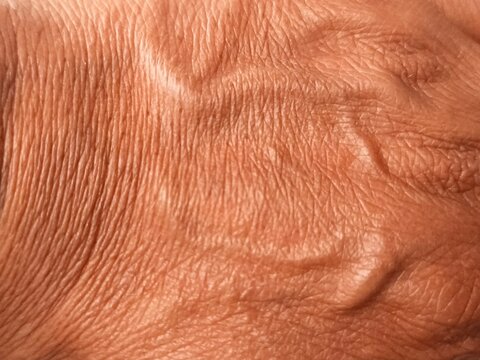 Close up of elderly human hand skin texture showing wrinkles and aging process.