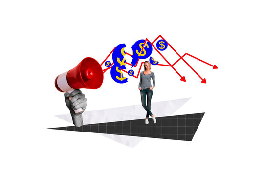 Creative collage young woman loudspeaker bullhorn announce statistics dynamic stock falling economy crisis inflation collapse coin dollar