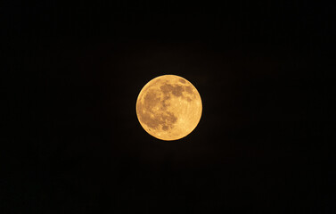 Obraz premium The Harvest Moon is the full moon that happens closest to the autumnal equinox. It usually occurs in September, but can fall in early October depending on the lunar cycle. Bamboo and neem leaves.