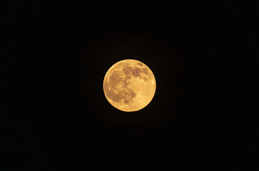 The Harvest Moon is the full moon that happens closest to the autumnal equinox. It usually occurs in September, but can fall in early October depending on the lunar cycle. Bamboo and neem leaves. © Soumyabrata
