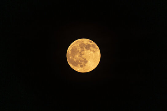 The Harvest Moon is the full moon that happens closest to the autumnal equinox. It usually occurs in September, but can fall in early October depending on the lunar cycle. Bamboo and neem leaves.