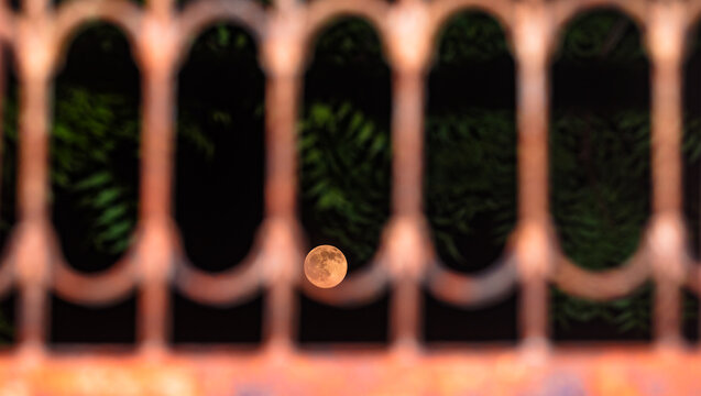 The Harvest Moon is the full moon that happens closest to the autumnal equinox. It usually occurs in September, but can fall in early October depending on the lunar cycle. Bamboo and neem leaves.