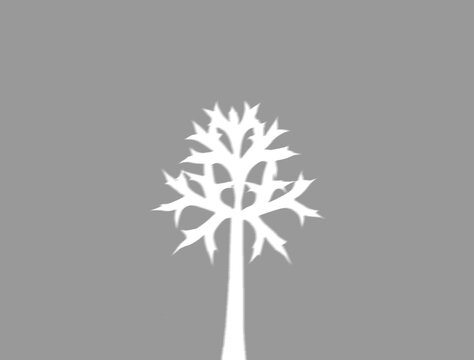 Realistic 40 percent opacity shadow with deciduous tree cutout on transparent background