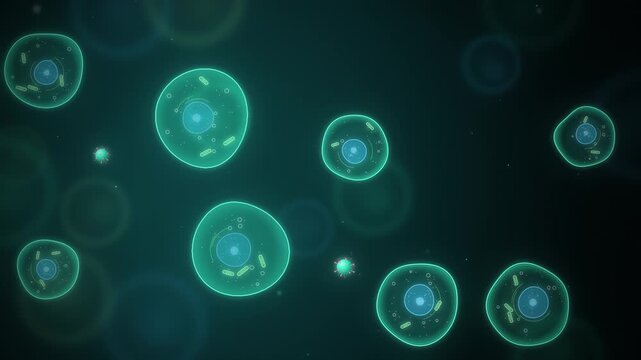 Teal cell division under the microscope on dark background