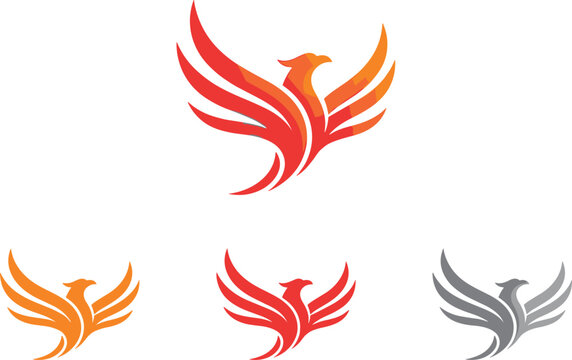 Abstract Phoenix and Eagle Bird Corporate Logo Design Variations Vector Illustration Set in Modern Minimalist Style for Graphic Designs