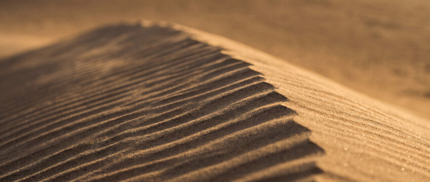 A close-up view of parallel wind-formed ripples on fine desert sand, showing natural geological texture and pattern.