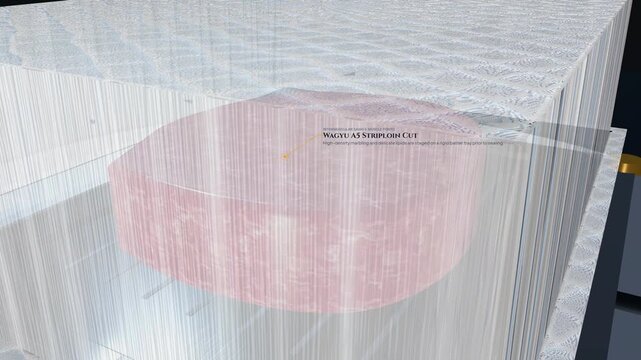 3D animation showcasing the vacuum skin packaging process of a premium Wagyu A5 striploin cut with detailed steps including radiant thermal softening and absolute vacuum evacuation