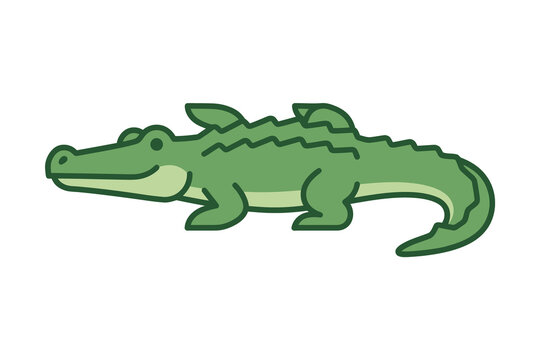 Cute Green Alligator Vector Illustration
