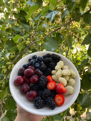 Bowl filled with fresh healthy berries including strawberries and blueberries. © Олеся Байдикова
