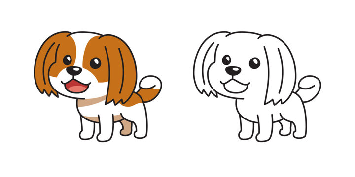 Cute Shih Tzu dog sitting in color and outline version cartoon vector illustration