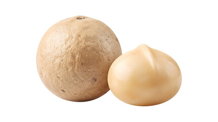 Fototapeta premium Macadamia nut with shell