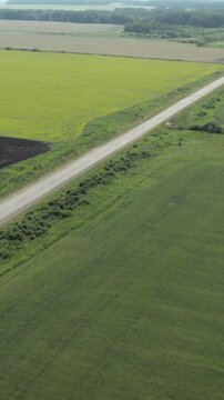 Drone aerial footage of a straight country road cutting through green agricultural fields and forest edge in the Ural region, Russia, on a clear summer day