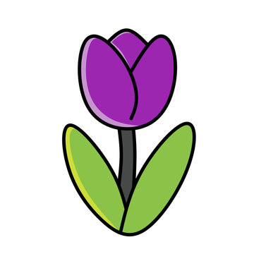 Simple vector illustration of a purple tulip with bold black outlines and bright green leaves. Features a clean and modern flat design style. Ideal for spring themed cards and decorations.