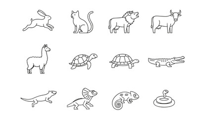 Fototapeta premium Outline line icons of various animals including a rabbit, cat, lion, cow, llama, turtle, crocodile, lizard, and snake.