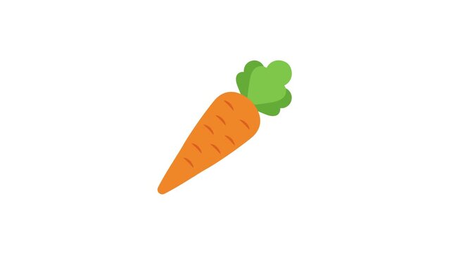 Fresh Orange Carrot Vegetable Vector Graphic Icon with Dynamic Organic Loop Animation