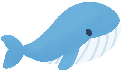 Cute blue whale vector illustration, sea animal character icon © 예주 김