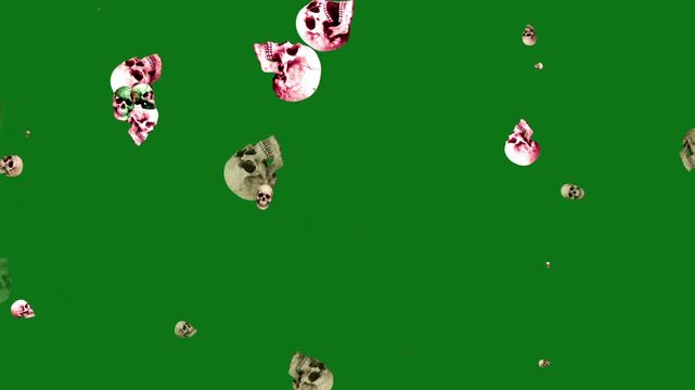 Scary Human Skulls on Green Screen Background, Horror Skull Visuals for Halloween Themes, Scary Scenes, Dark Designs, Creative Compositing, Video Projects and Media