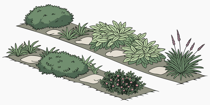 Isometric garden layout with two parallel paths, stepping stones, green shrubs, and tall ornamental grasses on a light background