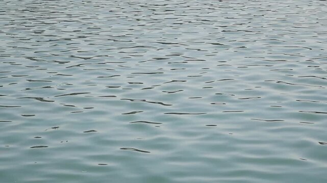 Calm sea water surface background with soft natural waves