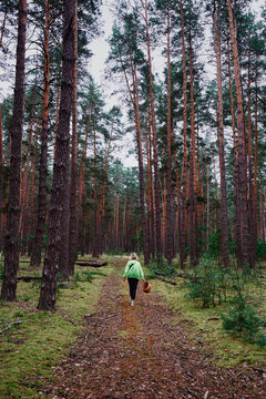 A woman walks alone along a pine forest trail carrying a wicker basket, surrounded by tall trees and soft green moss, conveying peaceful solitude, nature exploration and quiet outdoor activity.