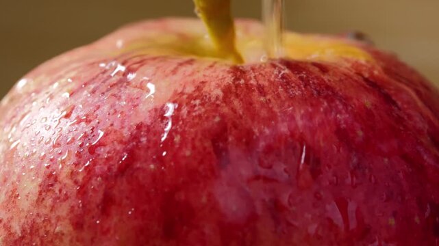 Fresh Red Apple with Water Droplets on Its Skin	