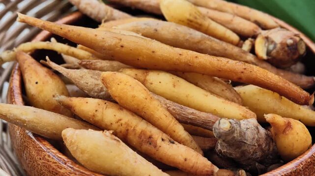 Fresh fingerroot rhizomes showing their natural roots and earthy texture, highlighting this aromatic Thai culinary ingredient.	