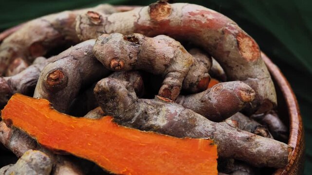 Fresh Turmeric Rhizomes in a Wooden Bowl	