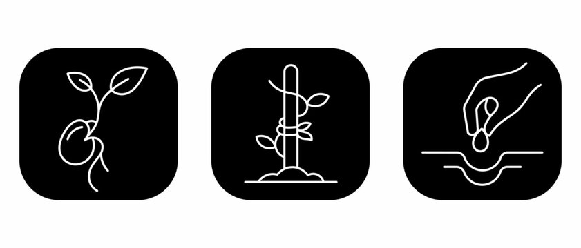 Seed germination and plant growth outline icon set, featuring hand planting and staked seedling symbols for agriculture and farming.