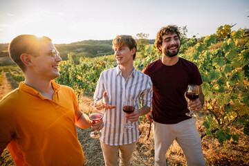 Obraz premium Three cheerful male friends sharing a joke with wine in vineyard