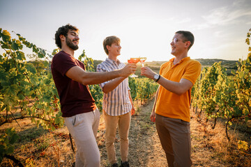 Obraz premium Three male friends toasting with wine glasses in a sunlit vineyard