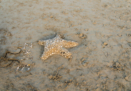 Starfish made out of sand and shells on the beach in Alykes