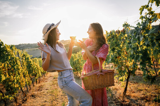 Two playful female friends gesturing and enjoying wine in vineyard