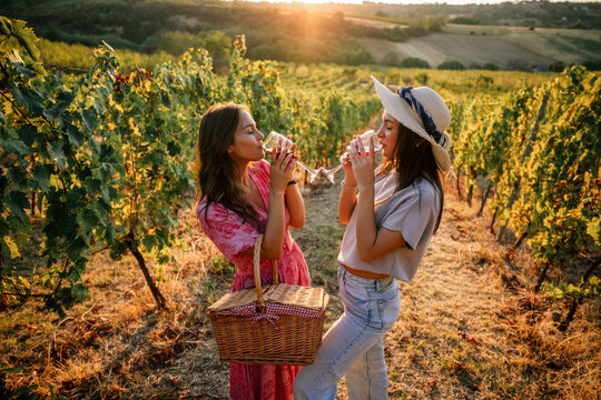 Two women drinking red wine together in a sunlit vineyard row