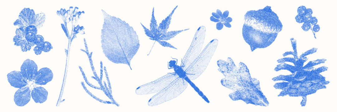 Blue cyanotype botanical and floral elements asset pack. Stipple dot overlay texture with flower and twig silhouette. Delicate indigo blue nature shape for template and graphic design project.