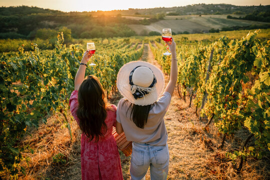 Two women holding wine glasses up towards sunset in vineyard