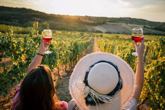 High angle back view of two women raising wine glasses in vineyard